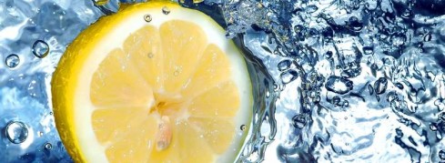 Genuss-Produkt des Monats