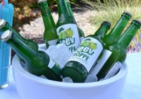 Erfrischender Aperitif – Hamburger Apfelschorle mit Hopfen