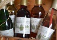 Hoffest 2017 Piccolos