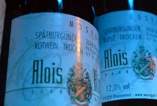 Hoffest 2017 – Impressionen