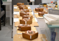 16 Rentierstall Sonntag