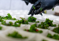 Mörderische Weihnachten 24